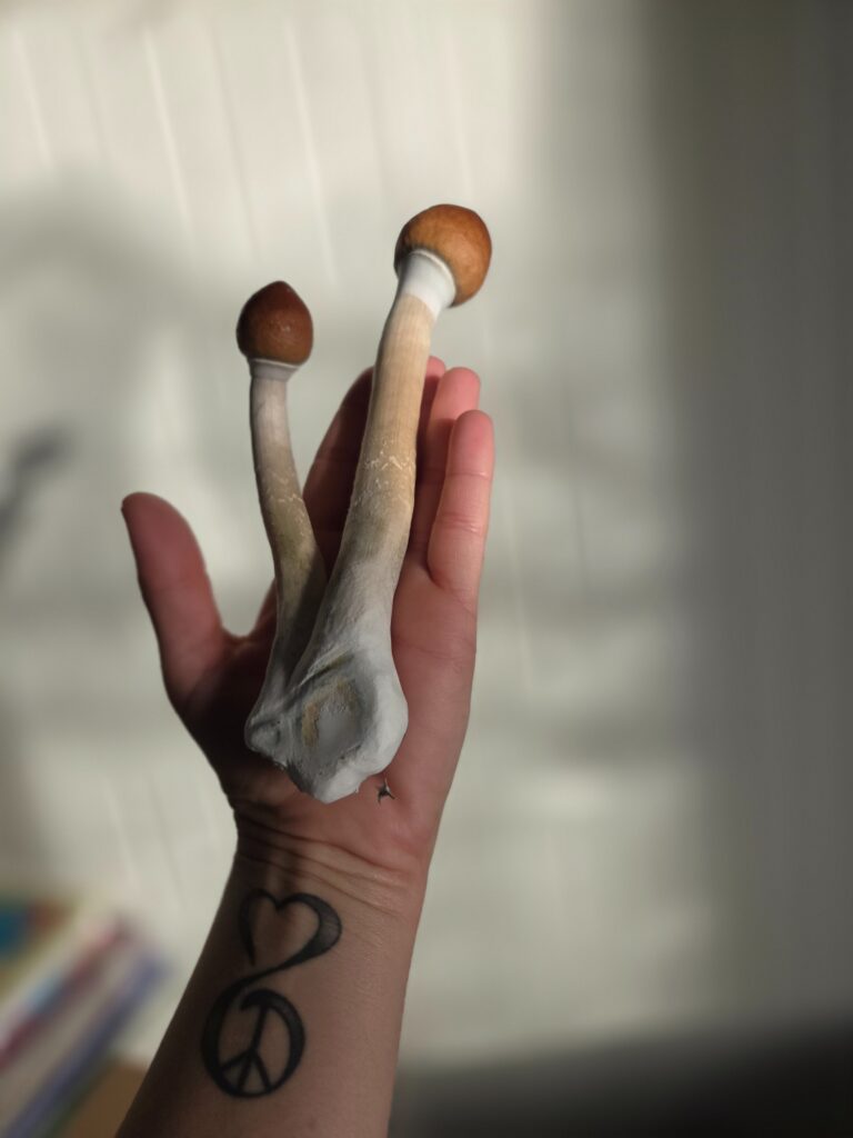 Plant Medicine Integration Consultation